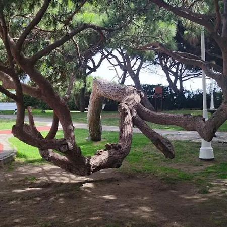 Atlántico Apartamento Rota